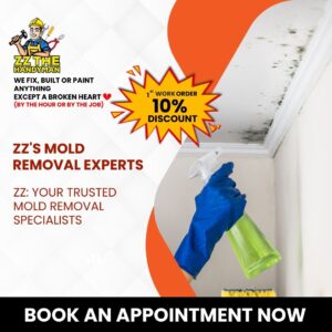 Handyman Services in Jacksonville - Expert Mold Removal Services