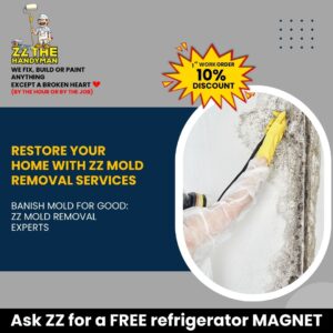 Mold Removal Service - Handyman Services in Atlanta