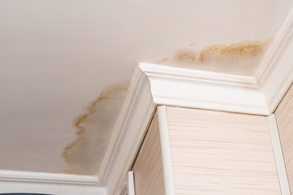 Water Stains on Ceilings