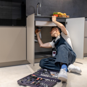 Garbage Disposal Repair