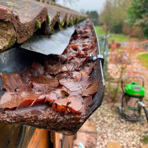 How To Clean Gutters: 7 Simple Steps