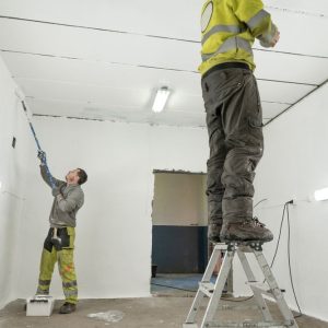 Garage Makeover Magic: Storage and Repair Tips from ZZ the Handyman