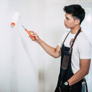 Painting Contractors in St. Petersburg