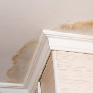 Water Stains on Ceilings: Causes, Removal, and Prevention